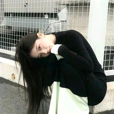 光荣之路上的狗